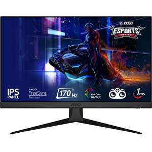 MSI G2422 23.8