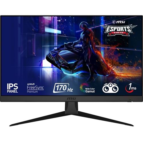 MSI G2422 23.8